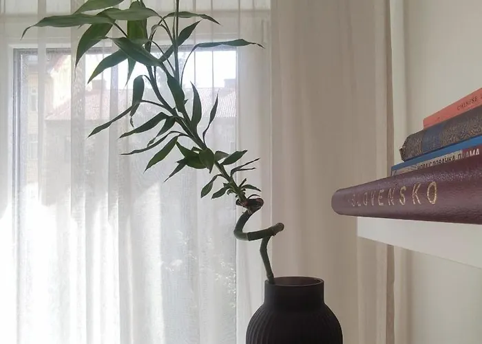 Apartman Elegant Escape Ii - Centre & Free Parking Pozsony